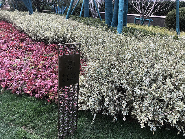 小區戶外景觀花草牌