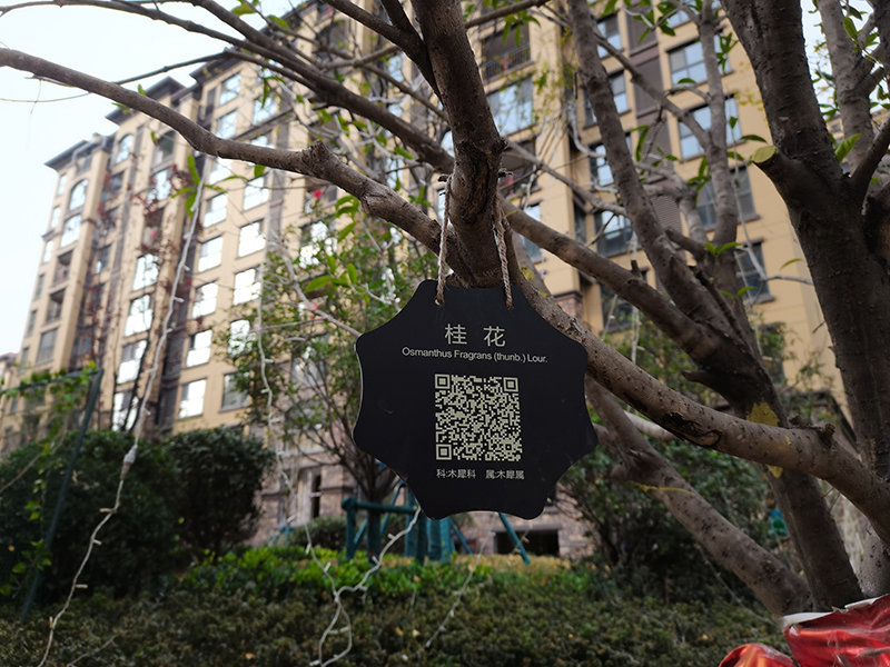 小區戶外樹名牌